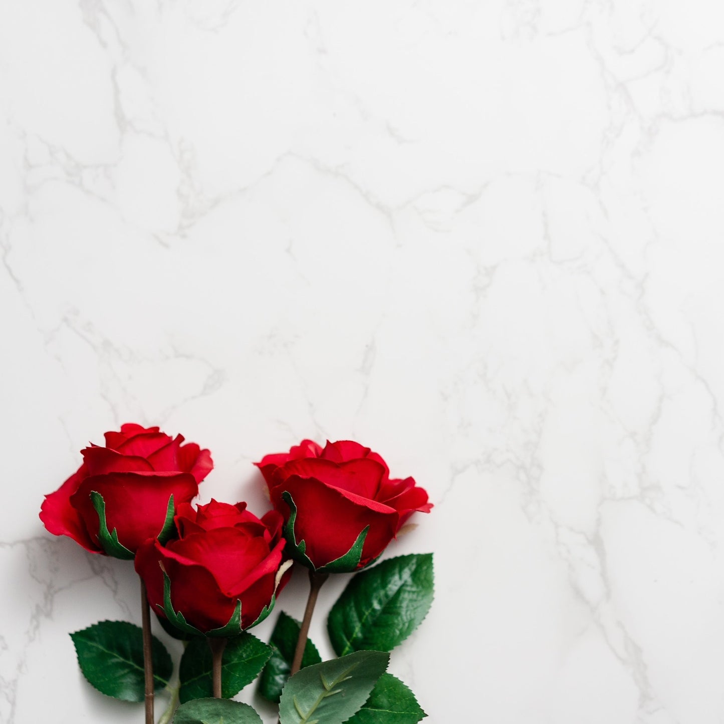 Trio de roses avec gypsophilia